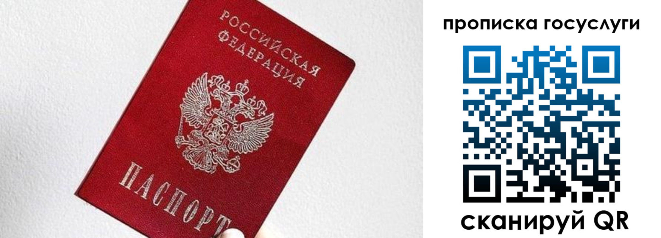 прописка законно в Липецкая области